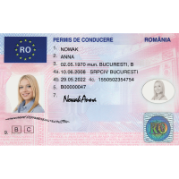 Fake Romanian Drivers License