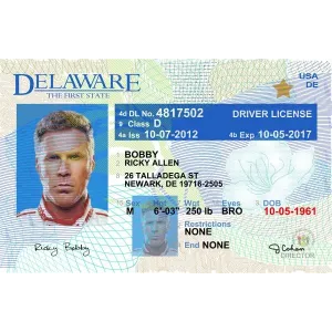 Fake Delaware Drivers License