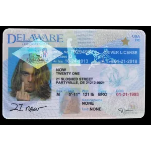 Fake Delaware Drivers License