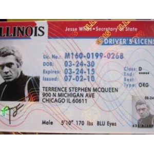 Fake Illinois Drivers License