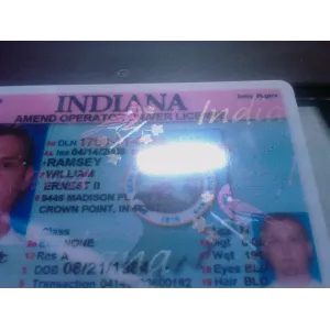 Fake Indiana Drivers License