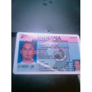 Fake Indiana Drivers License