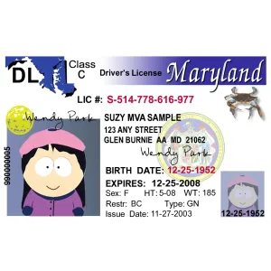 Fake Maryland Drivers License