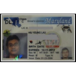 Fake Maryland Drivers License