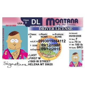 Fake Montana Drivers License