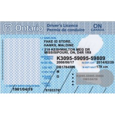 Fake Ontario Drivers License