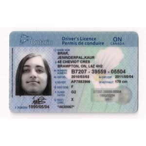 Fake Ontario Drivers License